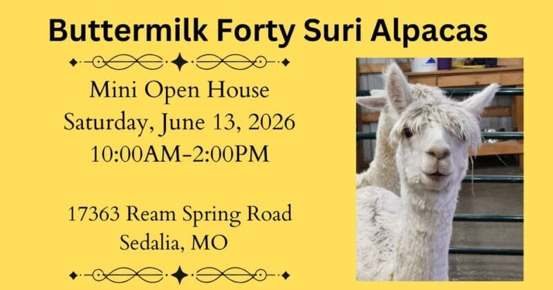 Buttermilk Forty Alpaca Farm Open House